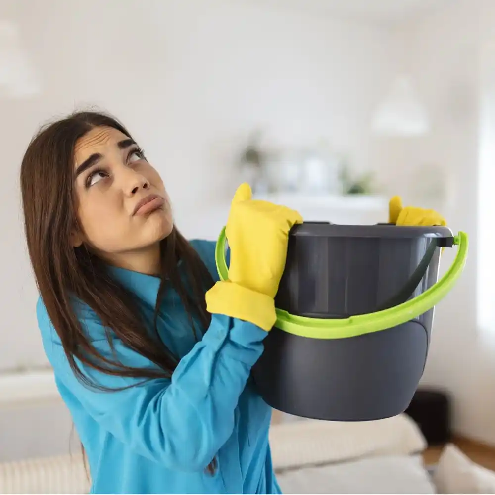 water damage restoration service Edith Endave